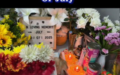In Loving Memory Of JULY | Tâm Tịnh Pet Cremation